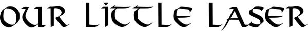 Our Little Laser logo